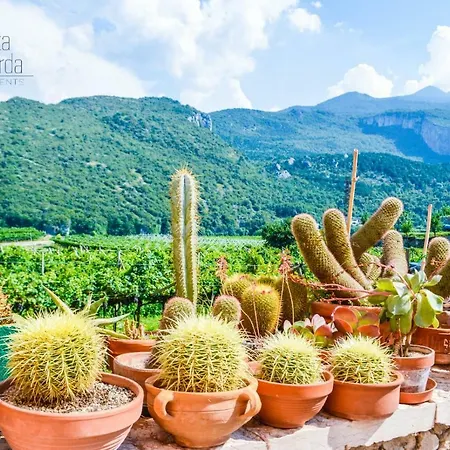 La Volta Del Garda Appartement Torbole Sul Garda Buitenkant foto
